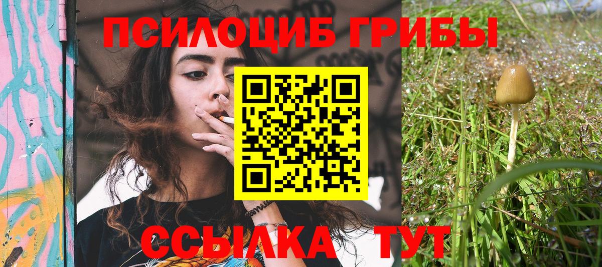 продажа наркотиков  Вход с VPN  Среднеуральск  Псилоцибиновые грибы MAGIC MUSHROOMS 